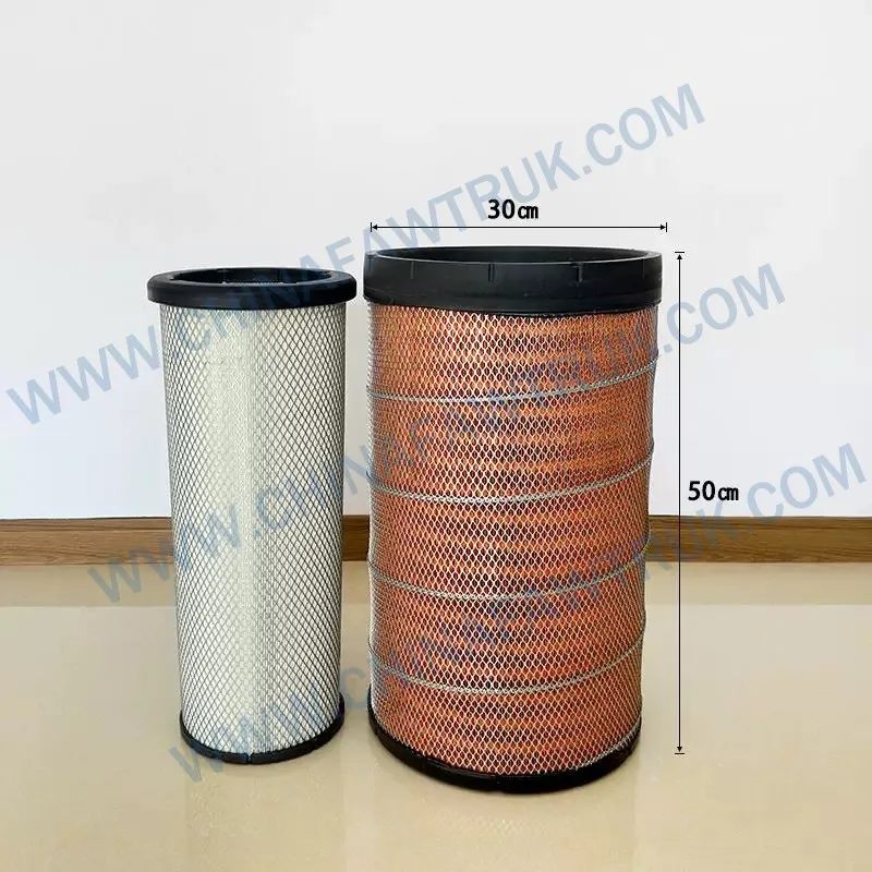 1001419775167822031401 Filtro de aire