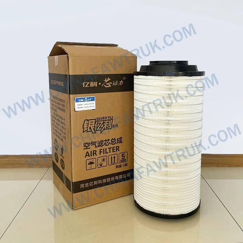 1001419775167822031401 Filtre à air