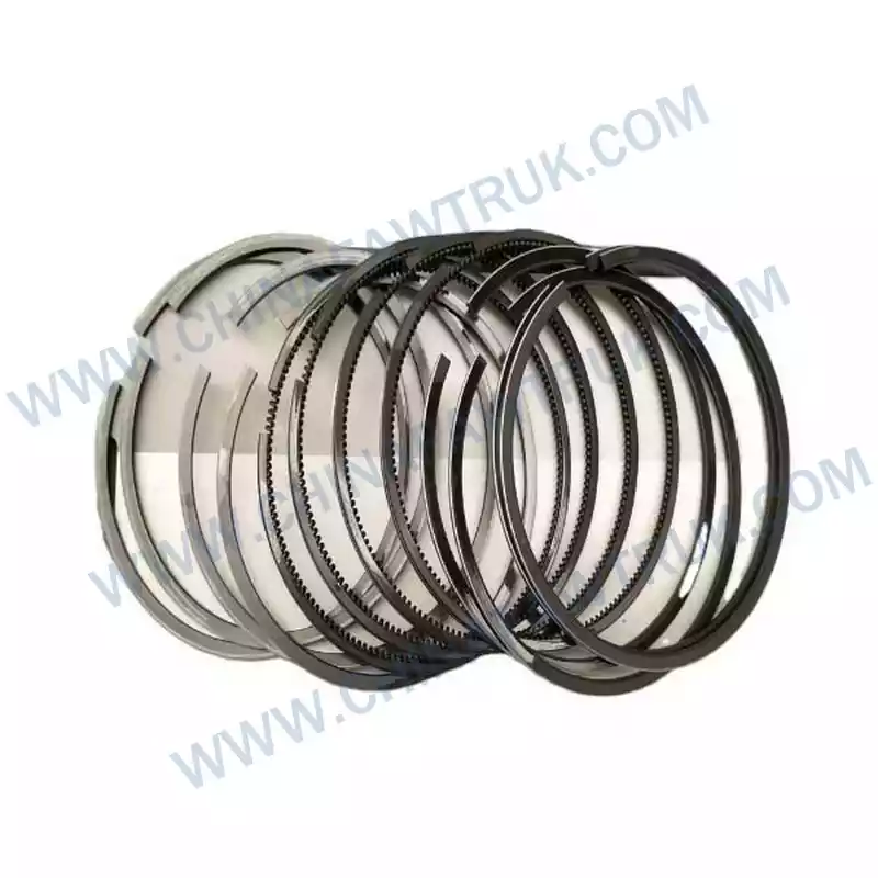 1004110X3 Engine Piston Rings