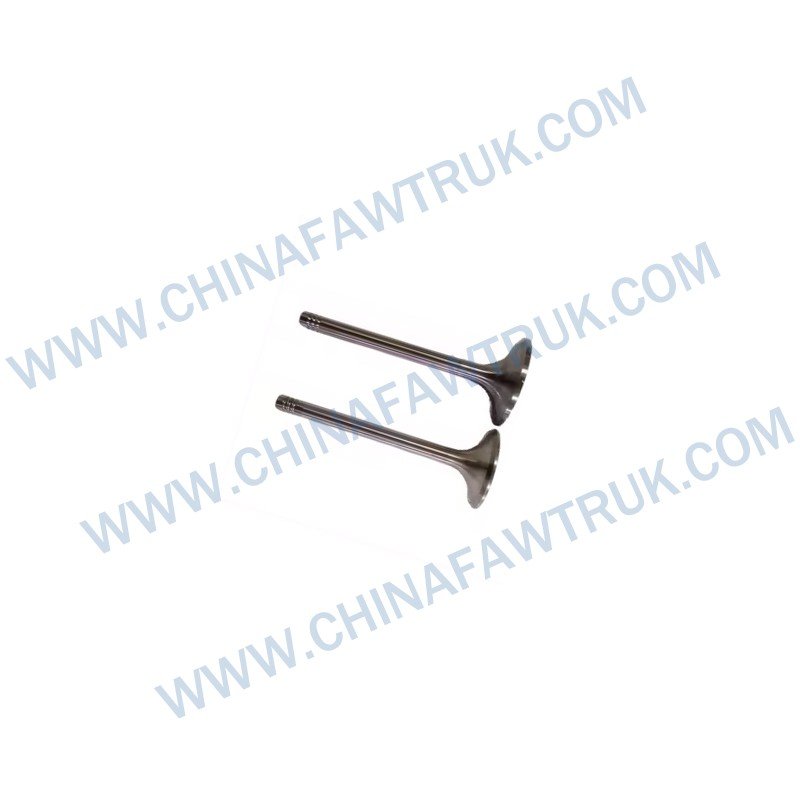 1007011-91E входной клапан