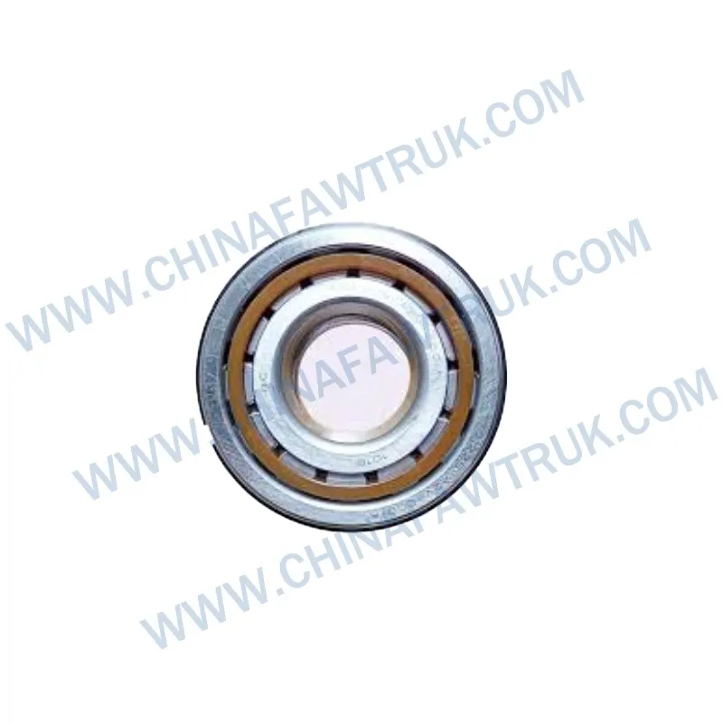 1701215-A2V-C00 Cylindrical roller bearings