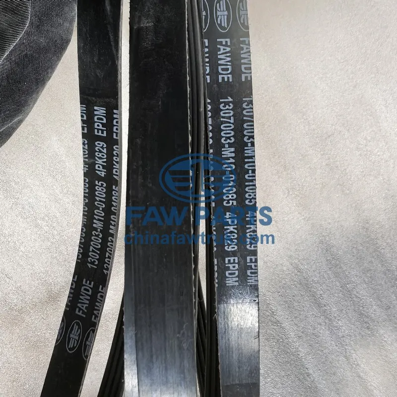 FAW Water Pump Belt