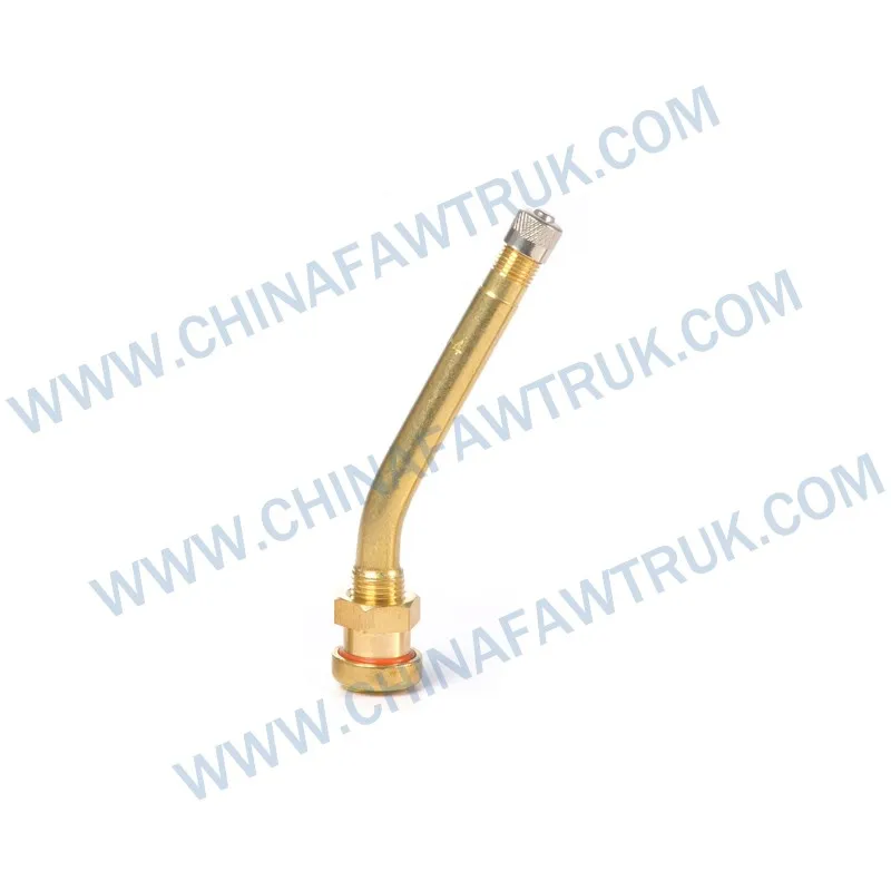 3101055A4E V3.20.12 (Code ETRTO) Ensemble de tête de valve tubeless pour véhicules lourds