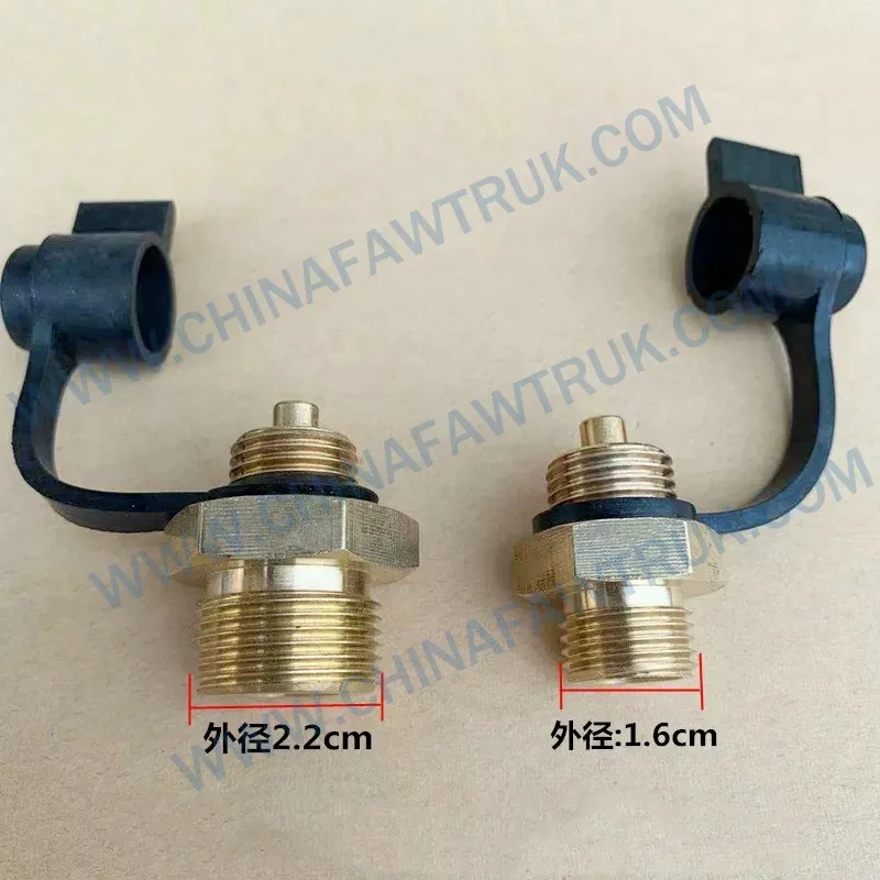 Brake cylinder air intake valve1