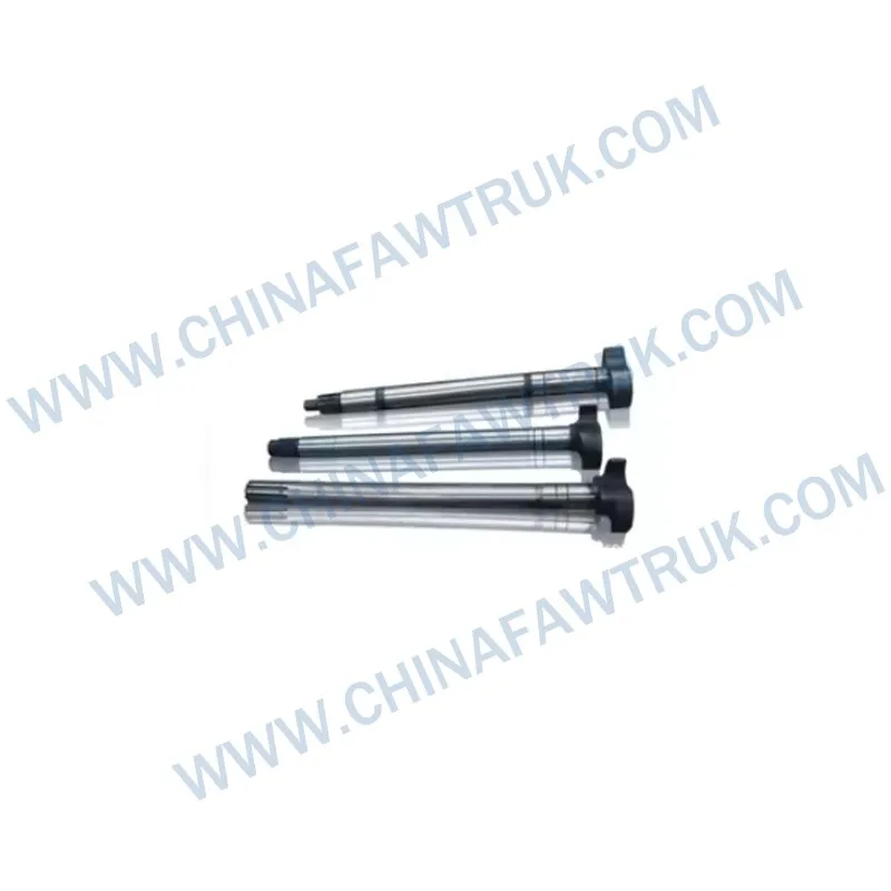 Q1852045T عمود الحدبات الخلفي الأيسر