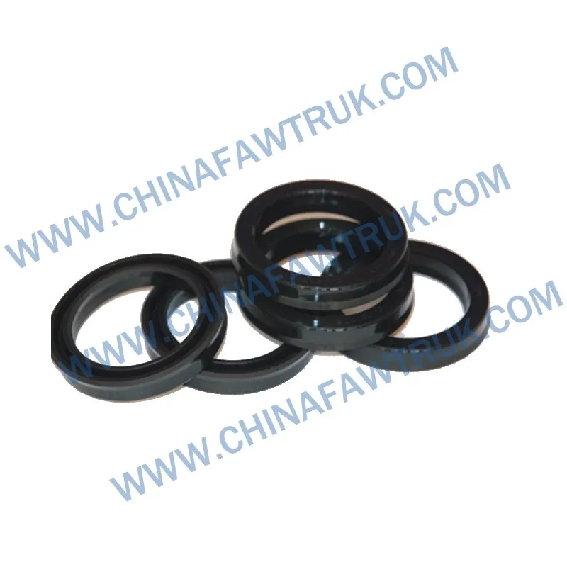 Rear wheel hub outeroilseal3104055AA0E